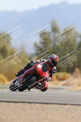 media/Oct-05-2024-Race Pace (Sat) [[aa7b44e117]]/8-Turn 7 (1110am)/